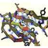 image of a protein
