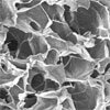magnified view of the biodegradable scaffold for stem cells growth