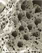Scaffold of flexible, biocompatible material with pores that support fragile cardiac cells