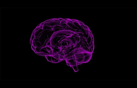 stylized image of the human brain
