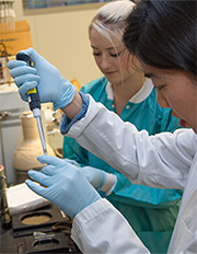 students working in a UW Bioengineering lab