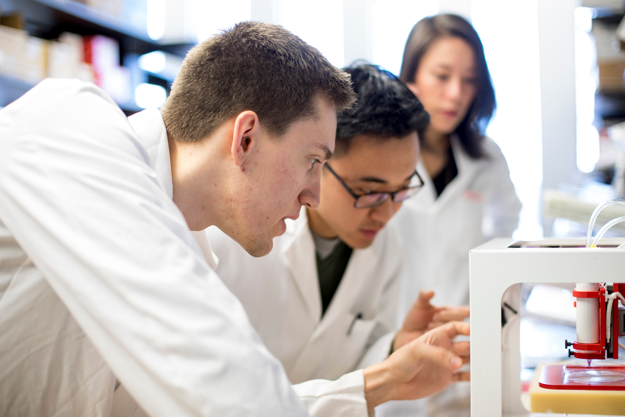 Students in Assistant Professor Deok-Ho Kim's Lab working on Multiscale Biofabrication & Tissue Engineering