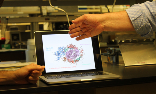 Laptop displaying a molecular structure in a lab setting.