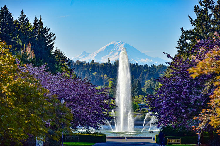 UW campus in the springtime
