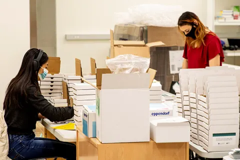 Students assembling COVID-19 test kits