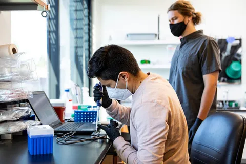 Two people wearing masks and gloves in a lab. One is sitting at a table piping cell culture onto a small rectangular device connected to a laptop, surrounded by various lab supplies. Second person is standing behind first person observing.