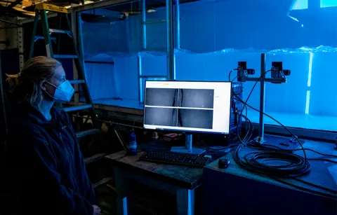 Female researcher at a water tank lab, looking at data on a computer