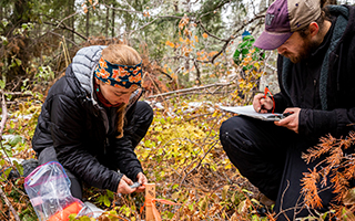 Two people working in a forest taking field notes