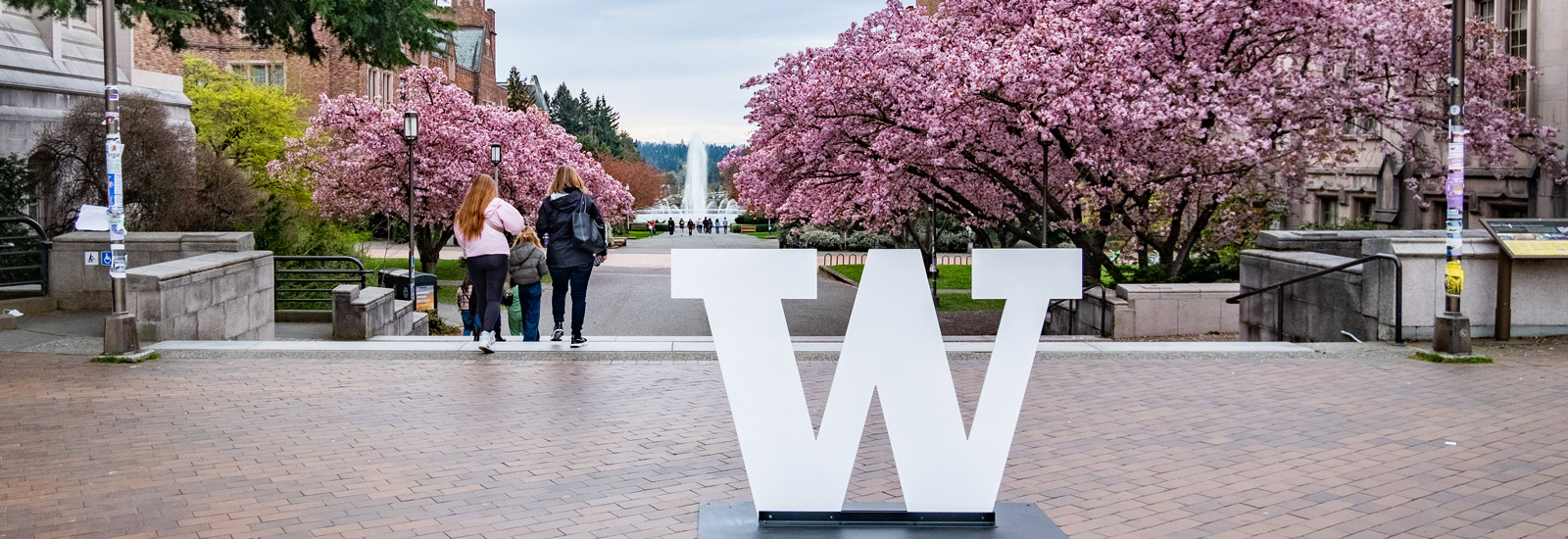 W block logo with cherry blossoms in the background