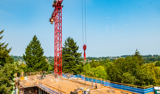 Construction site with a red crane and a partially built structure, surrounded by trees.