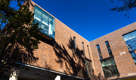 Modern brick building with large windows and tree shadows.