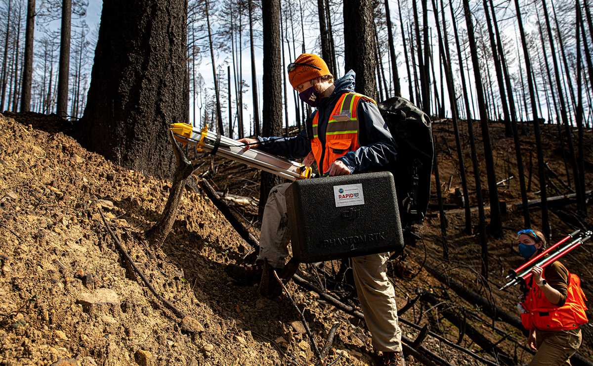 Drone flying, in the background are burnt trees affected by ewildfires