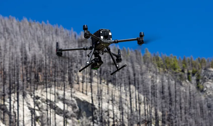 Drone flying, in the background are burnt trees affected by wildfires