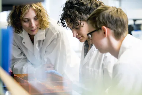 In a bioengineering lab, Kelly Stevens (left), Colleen O'Connor and Eileen Brady (right) talk about biomaterials research.