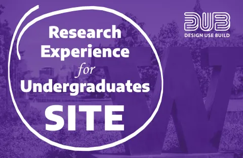 Graphic: research experience for undergraduates SITE